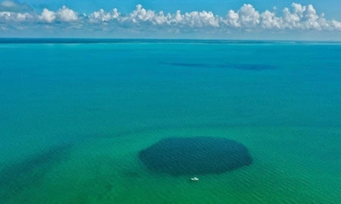 Hố xanh Taam Ja dưới nước tại vịnh Chetumal, Mexico. Ảnh: Joan A. Sánchez-Sánchez