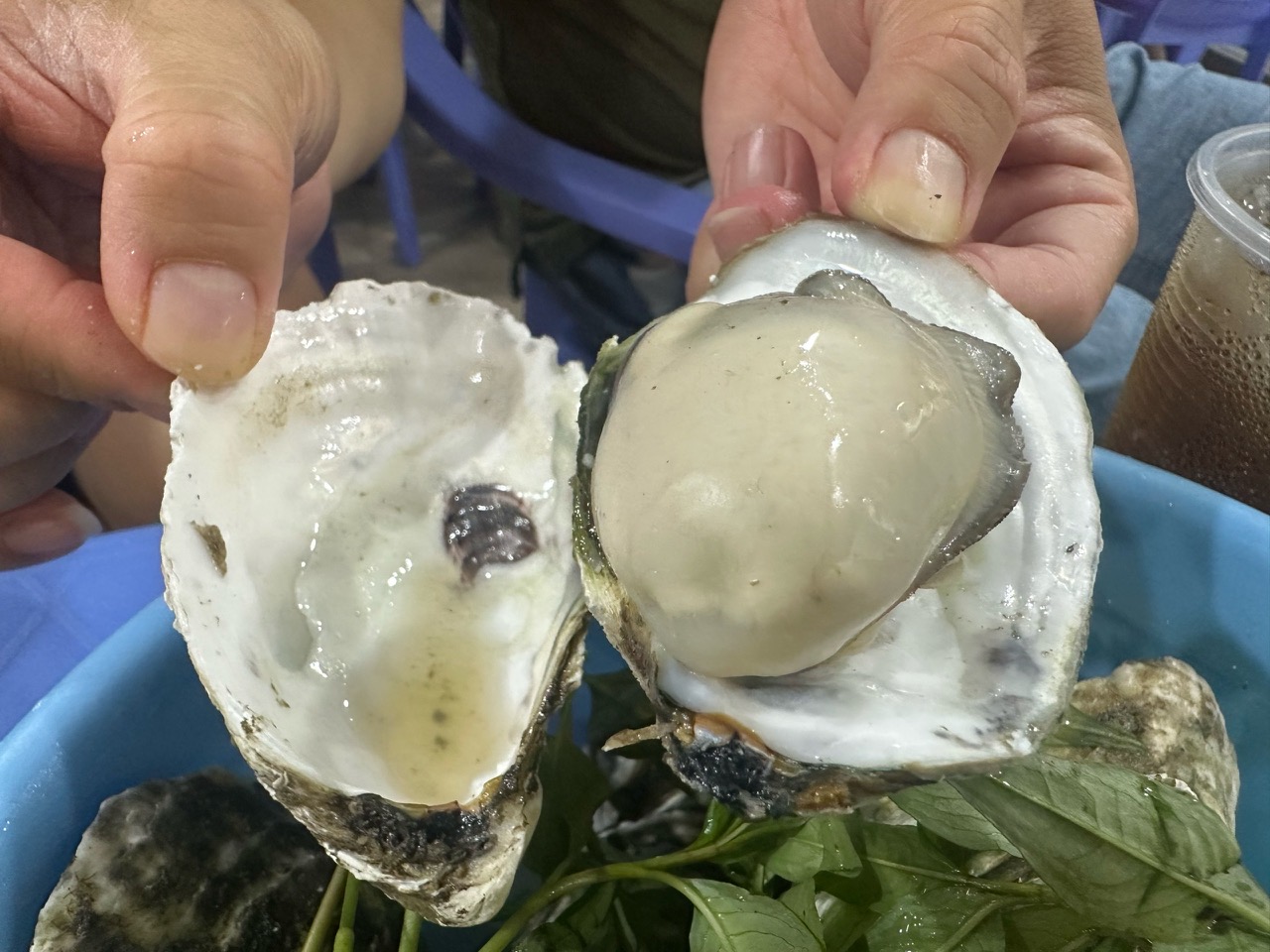 Phố hàu Phước Hải có thực sự 'bất bại' như lời đồn?- Ảnh 1. Những 'em hàu' tươi ngon không thể cưỡng