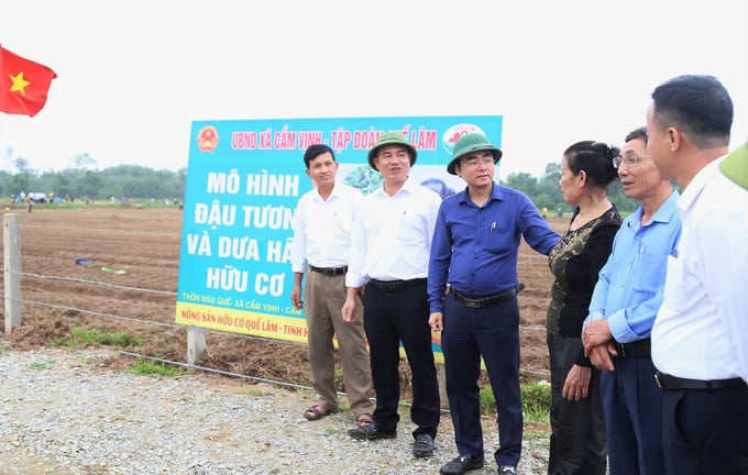 Năm 2024, Tập đoàn Quế Lâm mở rộng diện tích liên kết sản xuất đậu tương hữu cơ tại xã Cẩm Vịnh, huyện Cẩm Xuyên. Ảnh: TN.