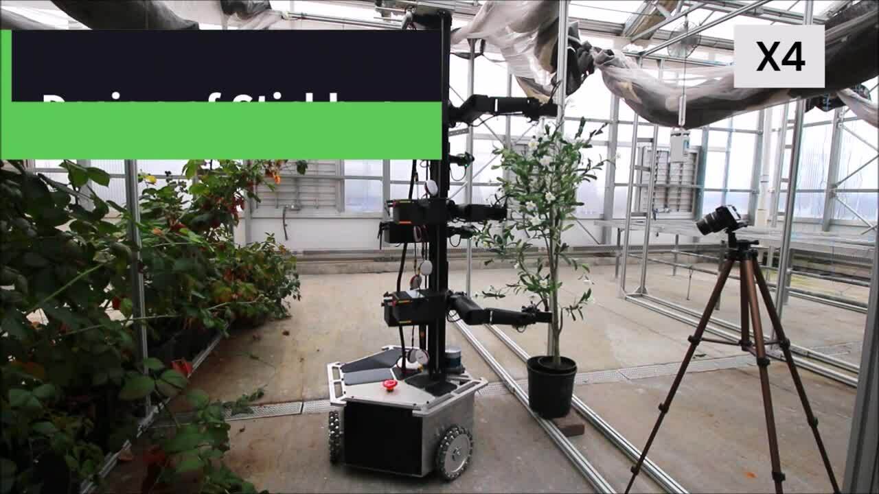 Robot thụ phấn 6 tay hoạt động trong nhà kính