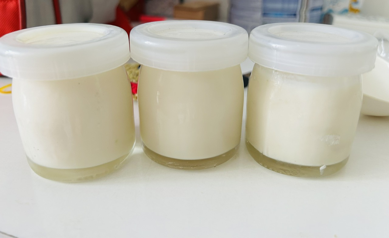 Sau ngộ độc thực phẩm, cơ thể mệt mỏi, nên ăn gì để nhanh hồi phục?- Ảnh 1. Trong sữa chua chứa một lượng lớn vi khuẩn đường ruột có lợi