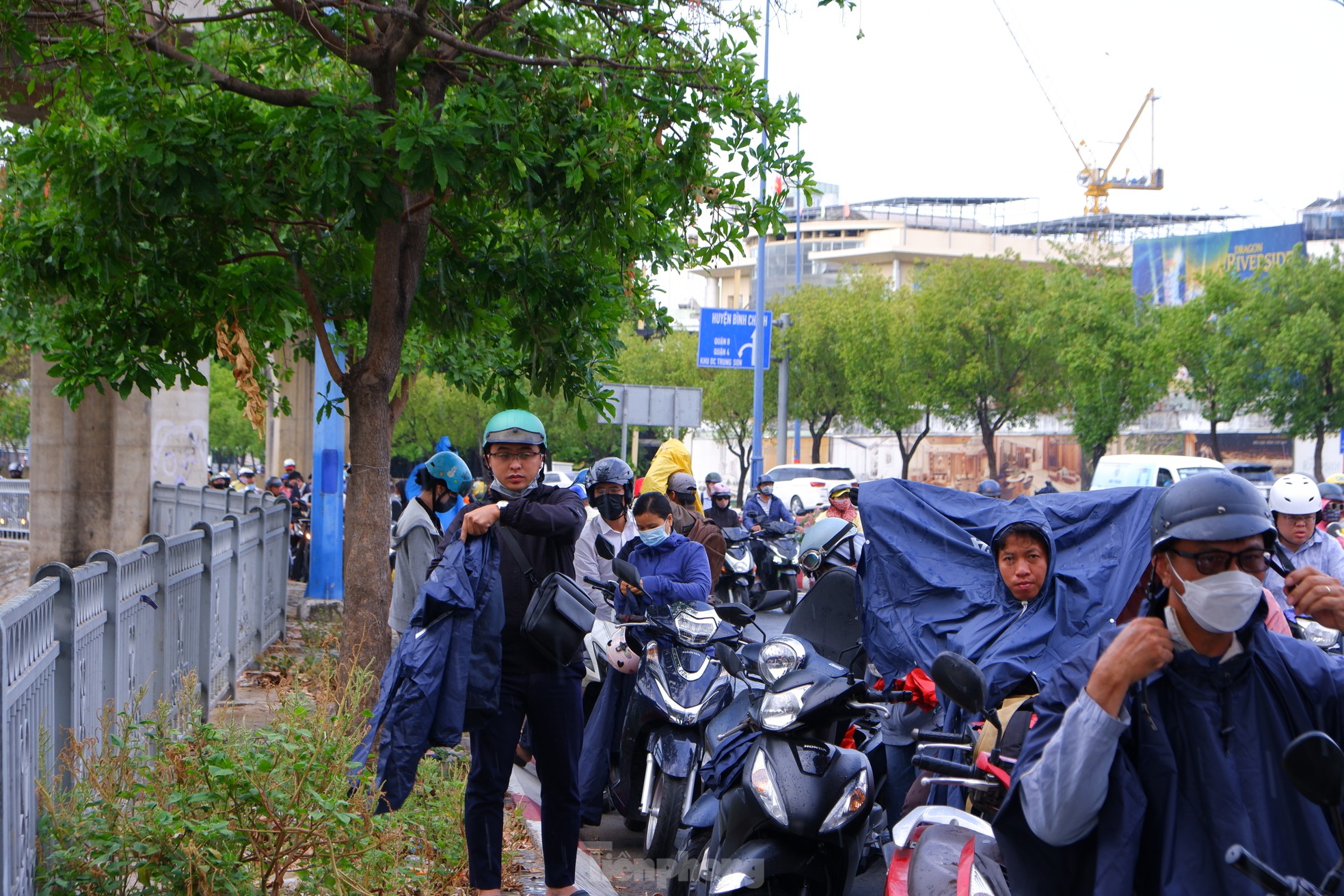 TPHCM bất chợt 'mưa vàng', nhiều người bị té ngã vì đường trơn ảnh 1