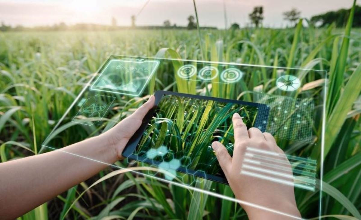 Ngành nông nghiệp đã chủ động triển khai mạnh mẽ chuyển đổi số, đẩy mạnh ứng dụng công nghệ số vào thực tiễn sản xuất.