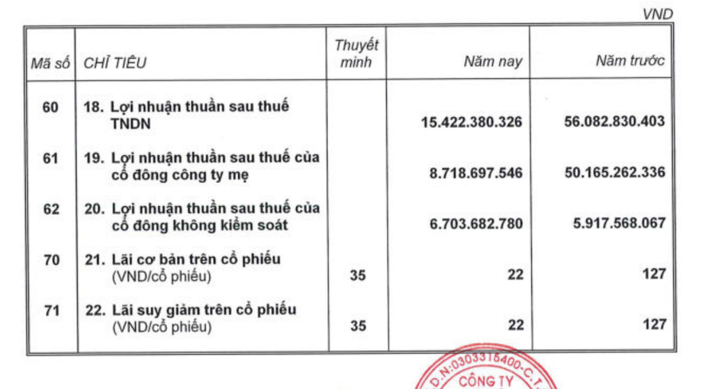 Thu nhập shark Hồng Anh giảm từ 500 triệu/tháng xuống còn 81 triệu đồng - 1 Thu nhập shark Hồng Anh giảm từ 500 triệu/tháng xuống còn 81 triệu đồng - 1