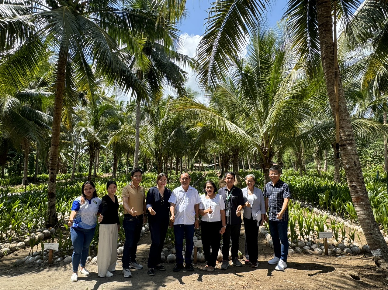 Tìm cách xuất khẩu dừa Việt Nam sang một trong những nước sản xuất dừa hàng đầu thế giới- Ảnh 1. Tìm cách xuất khẩu dừa Việt Nam sang một trong những nước sản xuất dừa hàng đầu thế giới- Ảnh 1.