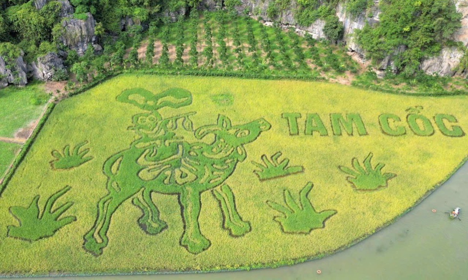 Tuần Du lịch Ninh Bình năm 2024 là một trong các hoạt động hưởng ứng nhân dịp Kỷ niệm 10 năm Quần thể danh thắng Tràng An được UNESCO ghi danh là Di sản văn hoá và thiên nhiên thế giới (2014-2024).