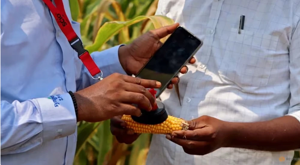 Ứng dụng vệ tinh của Cropin hỗ trợ nông dân Ấn Độ. Ảnh: REUTERS