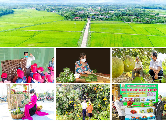 Xây dựng nông thôn mới gắn với phát triển du lịch nông thôn, Quảng Ngãi kỳ vọng điều này- Ảnh 1. Xây dựng nông thôn mới gắn với phát triển du lịch nông thôn, Quảng Ngãi kỳ vọng điều này- Ảnh 1.