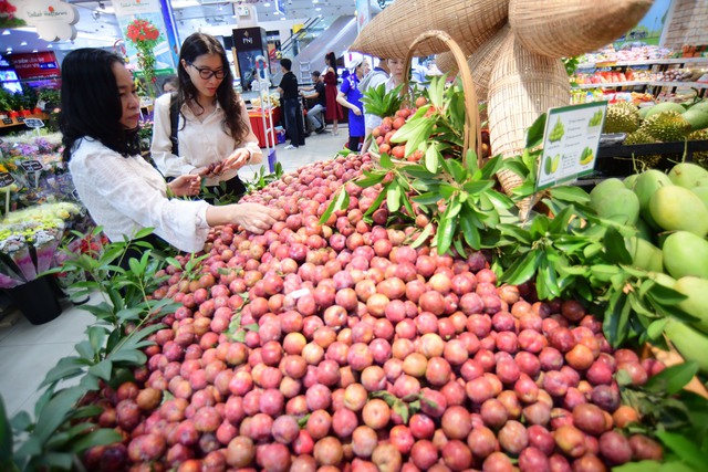 Saigon Co.op khai mạc lễ hội mận hậu và nông sản tỉnh Sơn La Saigon Co.op khai mạc lễ hội mận hậu và nông sản tỉnh Sơn La