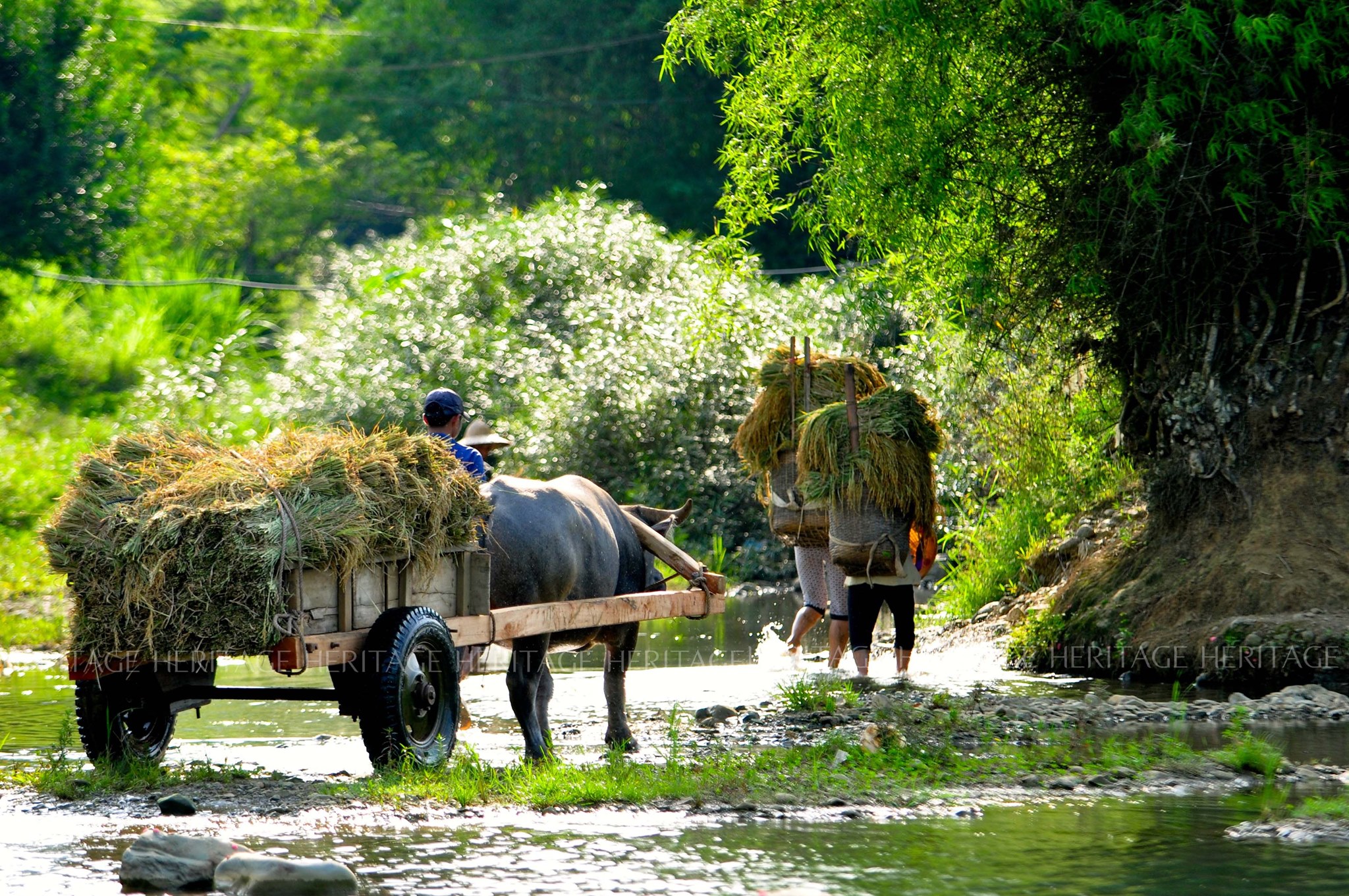 102876046_187148416080312_3304297242575033427_n - Vietnam.vn