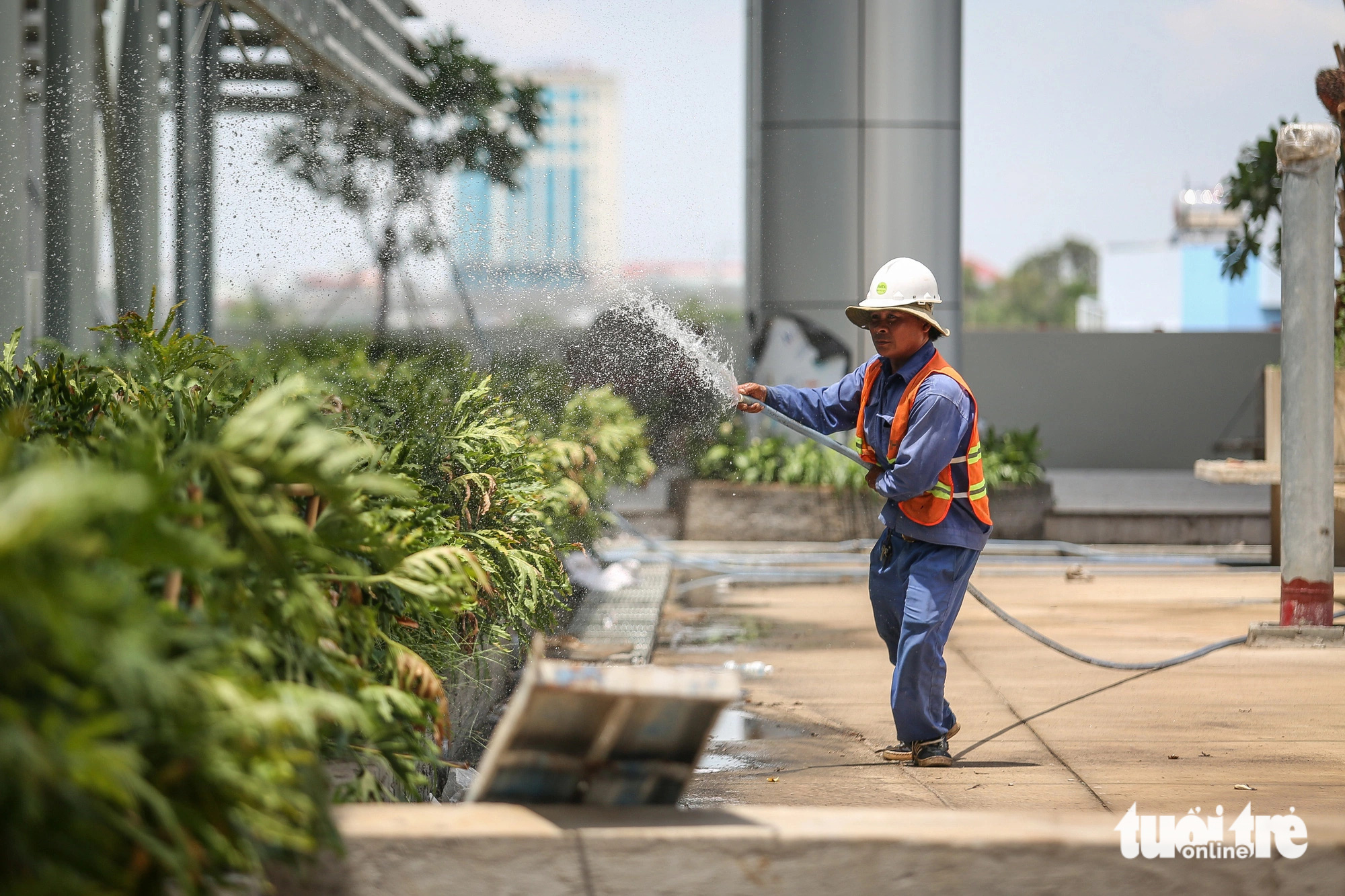 Cận cảnh 3 bệnh viện cửa ngõ TP.HCM sắp hoàn thành- Ảnh 13. Sáng 31-5, anh Minh Tuấn chăm sóc mảng xanh ở lầu 3 của bệnh viện chia sẻ: "Anh em rất phấn khởi khi một bệnh viện hiện đại, quy mô lớn như vậy sắp đưa vào hoạt động, bệnh nhân khi đến khám cũng bớt cảnh chờ đợi".