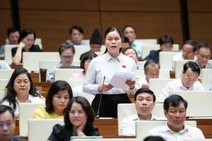 Đại biểu quốc hội đề nghị thực hiện luật Đất đai mới ngay trong năm nay hình ảnh 4 Dai bieu quoc hoi de nghi thuc hien luat Dat dai moi ngay trong nam nay hinh anh 4
