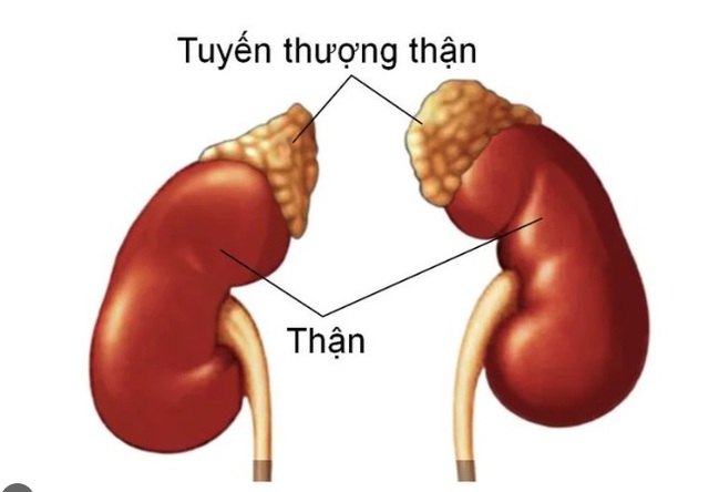 Cô gái 23 tuổi ở Hà Nội bị suy tuyến thượng thận vì dùng thuốc xịt mũi theo cách này - Ảnh 3. Cô gái 23 tuổi ở Hà Nội bị suy tuyến thượng thận vì dùng thuốc xịt mũi theo cách này - Ảnh 3.