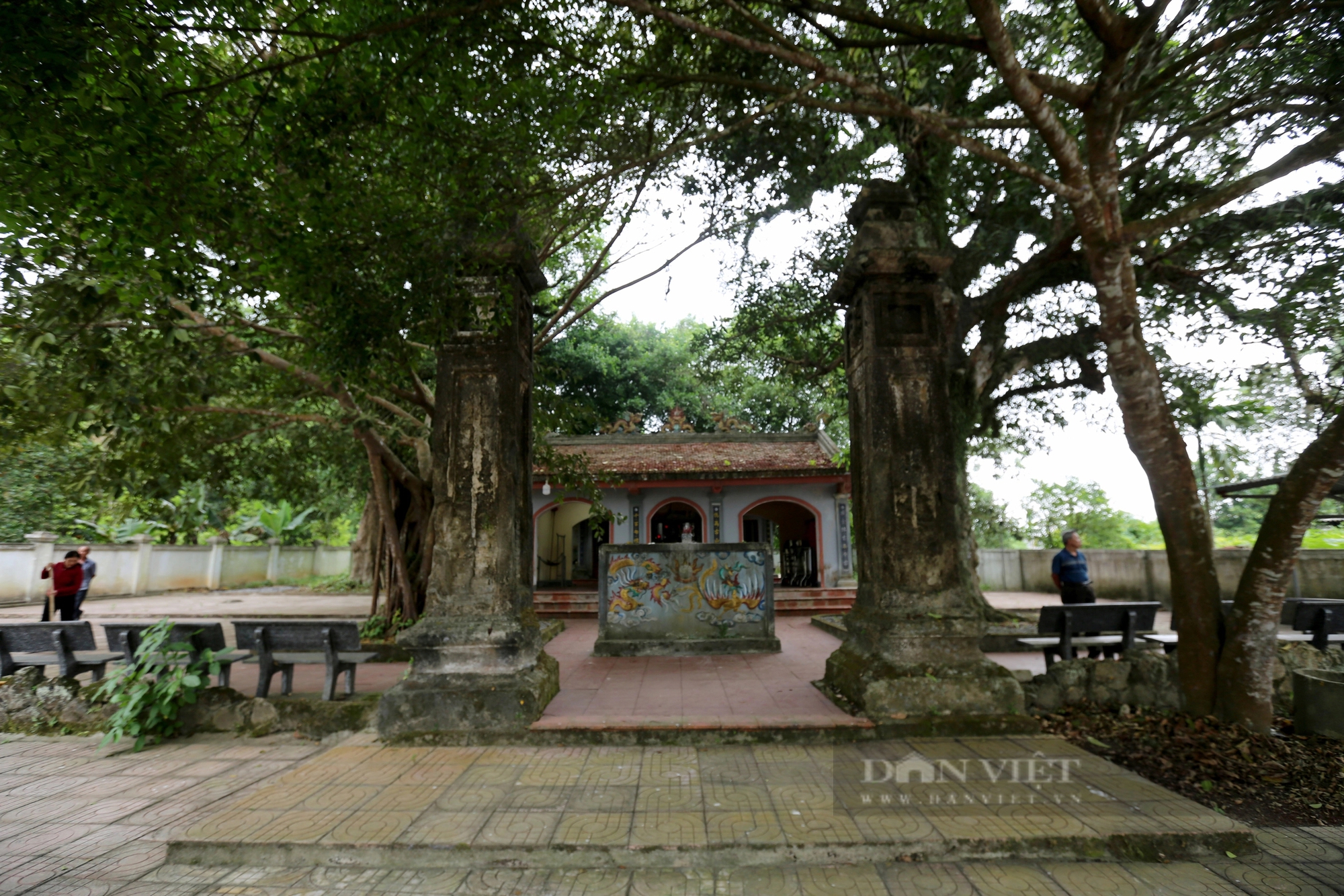 Ở một thị trấn của Hà Tĩnh có 2 cây cổ thụ 600 tuổi Ở một thị trấn của Hà Tĩnh có 2 cây cổ thụ 600 tuổi