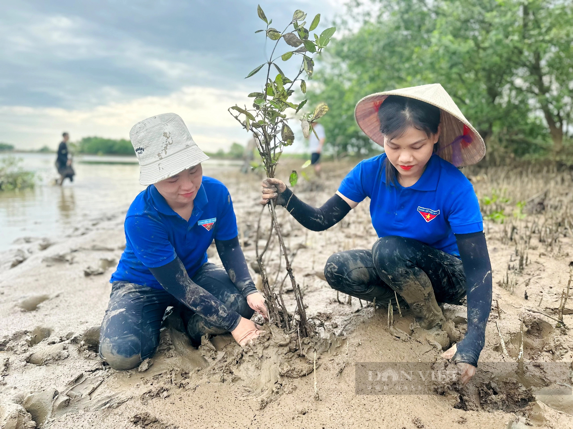 Hàng trăm thanh niên lội bùn trồng cây hưởng ứng Ngày Môi trường thế giới ở Hà Tĩnh- Ảnh 6. Hàng trăm thanh niên lội bùn trồng cây hưởng ứng Ngày Môi trường thế giới ở Hà Tĩnh- Ảnh 6.