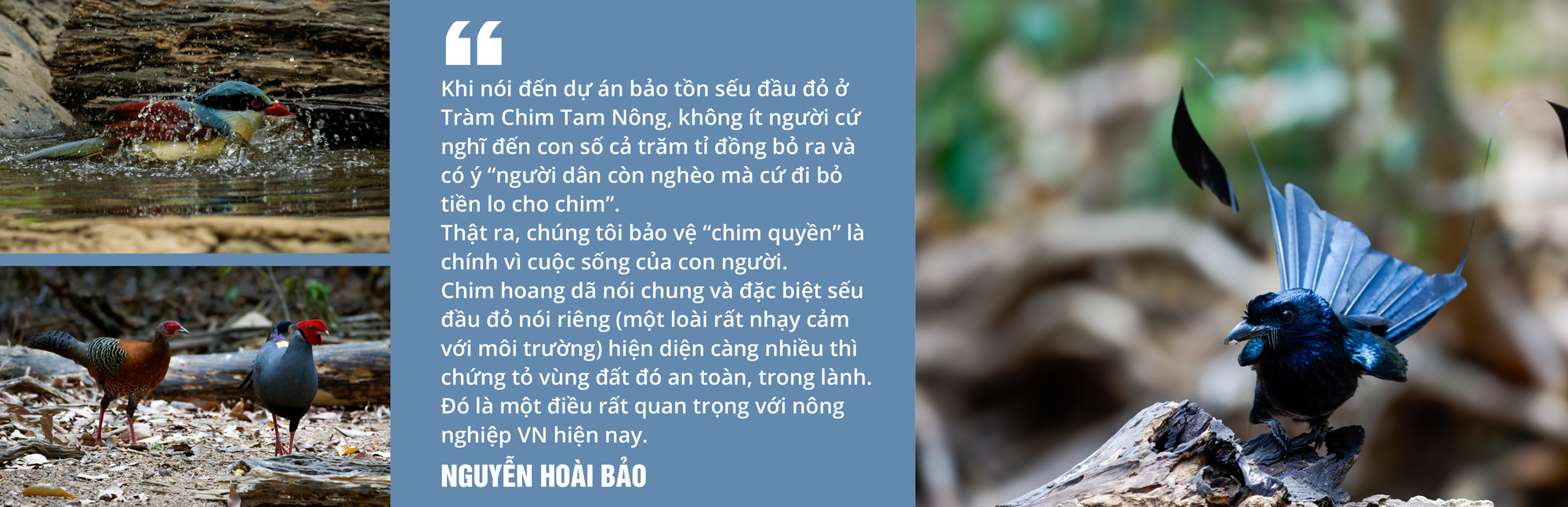 Việt Nam là miền đất hứa mới cho người mê chim - Ảnh 12. Việt Nam là miền đất hứa mới cho người mê chim - Ảnh 12.
