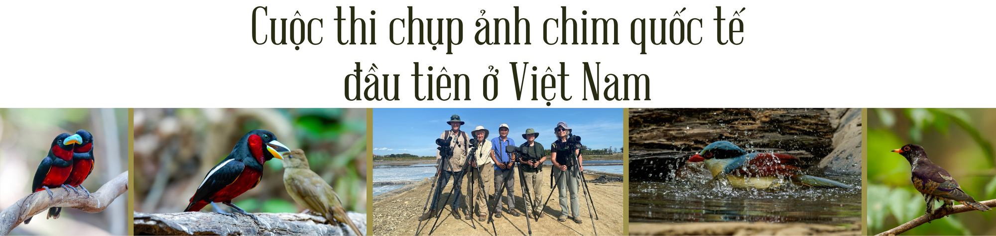 Việt Nam là miền đất hứa mới cho người mê chim - Ảnh 13. Việt Nam là miền đất hứa mới cho người mê chim - Ảnh 13.