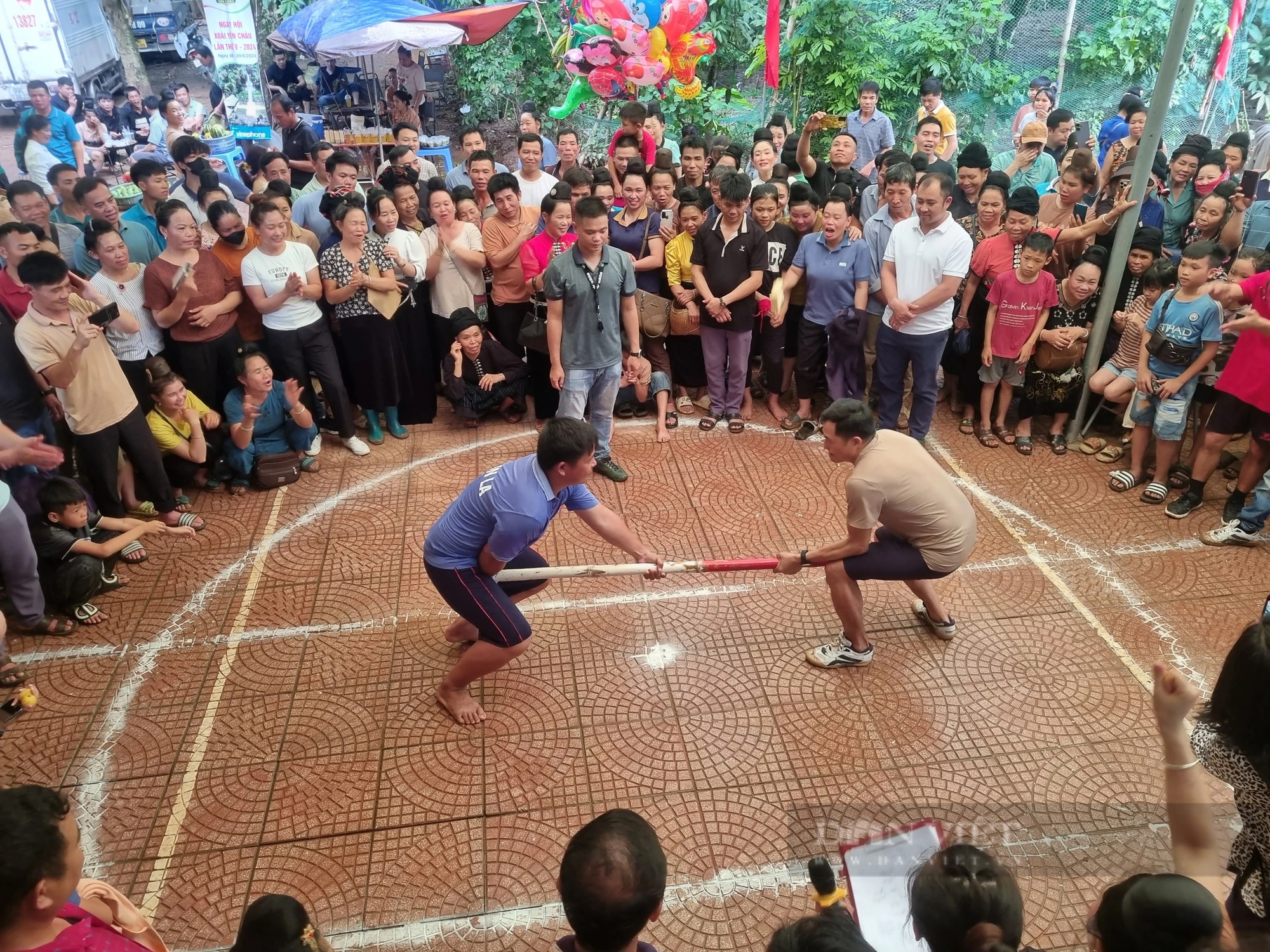 Độc đáo Ngày hội hái xoài ở vùng đất “chuối ngọt, xoài thơm”- Ảnh 7. Độc đáo Ngày hội hái xoài ở vùng đất “chuối ngọt, xoài thơm”- Ảnh 7.