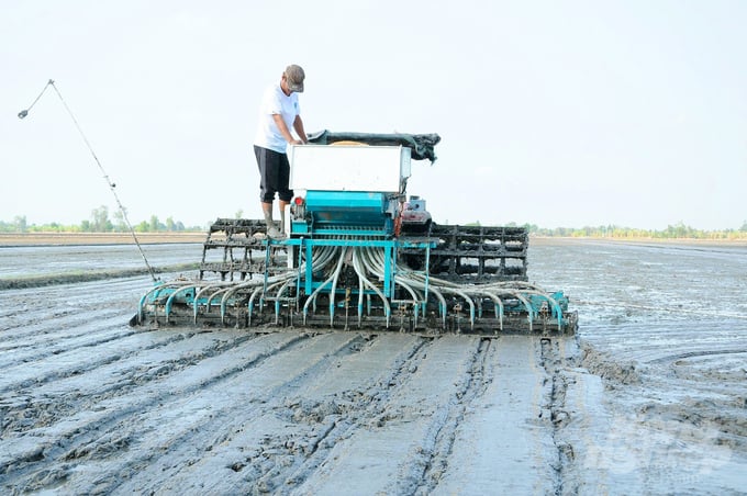 anh-5-143657_690-143657.jpg An Giang đặt mục tiêu đến năm 2025 diện tích tham gia Đề án canh tác lúa chất lượng cao, phát thải thấp là 44.051ha và tiếp tục nhân rộng ở những vùng thuận lợi. Ảnh: Lê Hoàng Vũ.