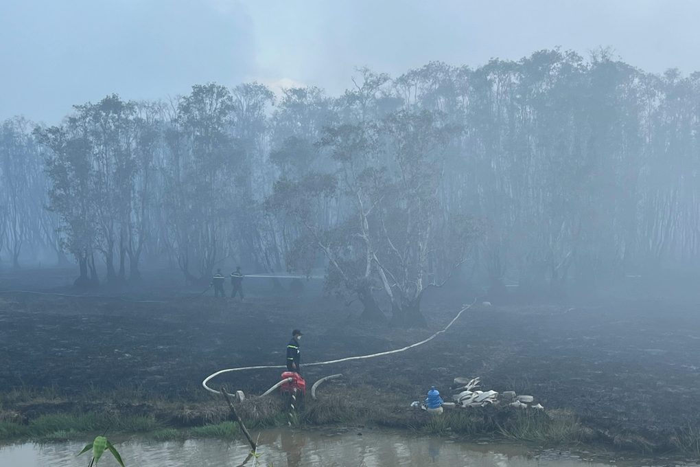 Cháy Vườn quốc gia Tràm Chim: Điều tra các bẫy chuột ở hiện trường - 2 Cháy Vườn quốc gia Tràm Chim: Điều tra các bẫy chuột ở hiện trường - 2
