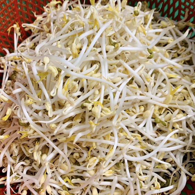 Món ăn vừa giải nhiệt ngày nắng vừa làm sạch độc tố trong ruột dễ làm với giá đỗ - Ảnh 3. Món ăn vừa giải nhiệt ngày nắng vừa làm sạch độc tố trong ruột dễ làm với giá đỗ - Ảnh 3.