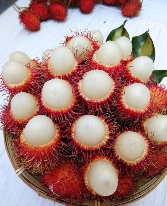 Hôm nay ăn gì? Gợi ý 190 thực đơn món ngon mỗi ngày để cả nhà quanh năm ấm cúng bên mâm cơm gia đình- Ảnh 212. Hôm nay ăn gì? Gợi ý 190 thực đơn món ngon mỗi ngày để cả nhà quanh năm ấm cúng bên mâm cơm gia đình- Ảnh 212.