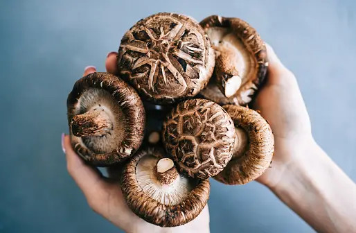 Món ăn được nhiều người thích, ung thư cực kỳ 'ghét'- Ảnh 2. Món ăn được nhiều người thích, ung thư cực kỳ 'ghét'- Ảnh 2.