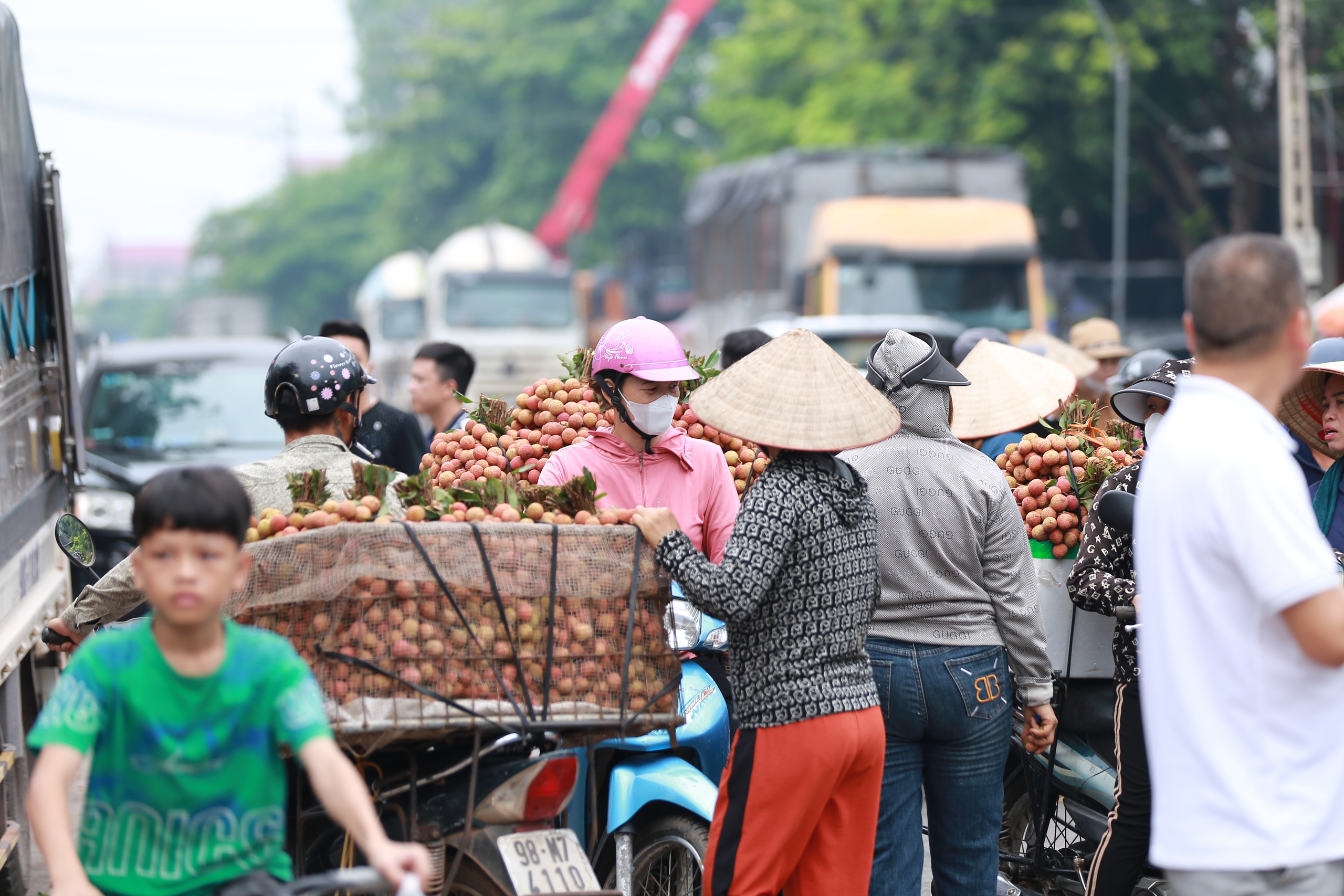 Sự thật về giá vải ở Lục Ngạn cao kỷ lục, có thời điểm lên đến 96.000 đồng/kg?- Ảnh 2. Sự thật về giá vải ở Lục Ngạn cao kỷ lục, có thời điểm lên đến 96.000 đồng/kg?- Ảnh 2.