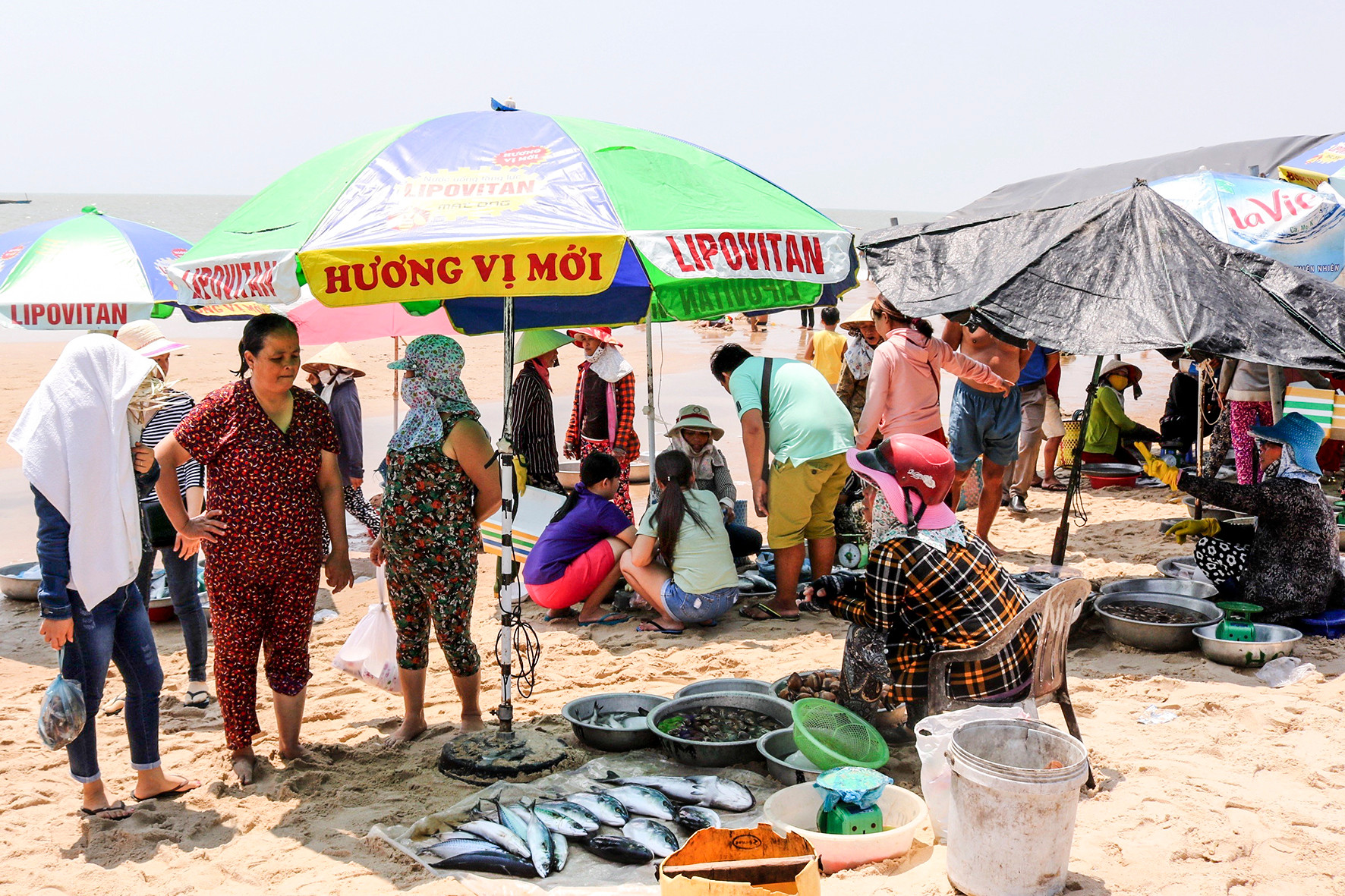 Ở một nơi của Bình Thuận thấy cắm ô rợp trời, ngỡ bãi biển tấp nập, hóa ra là chợ làng, bán cá theo chậu- Ảnh 3. Ở một nơi của Bình Thuận thấy cắm ô rợp trời, ngỡ bãi biển tấp nập, hóa ra là chợ làng, bán cá theo chậu- Ảnh 3.