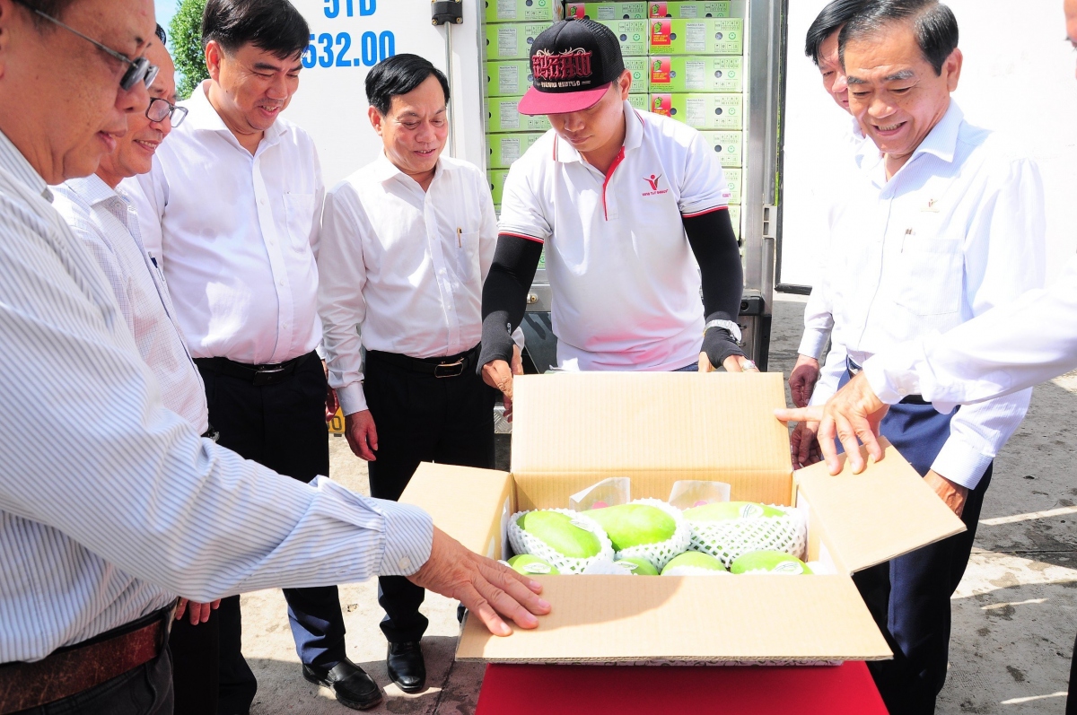 cần thơ xuất khẩu lô xoài đầu tiên sang thị trường Úc và hoa kỳ hình ảnh 3 can tho xuat khau lo xoai dau tien sang thi truong Uc va hoa ky hinh anh 3