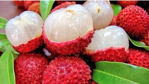 Người bệnh tiểu đường không cần kiêng ăn vải, ăn theo cách này để tăng miễn dịch và ngừa biến chứng tiểu đường - Ảnh 3. Người bệnh tiểu đường không cần kiêng ăn vải, ăn theo cách này để tăng miễn dịch và ngừa biến chứng tiểu đường - Ảnh 3.