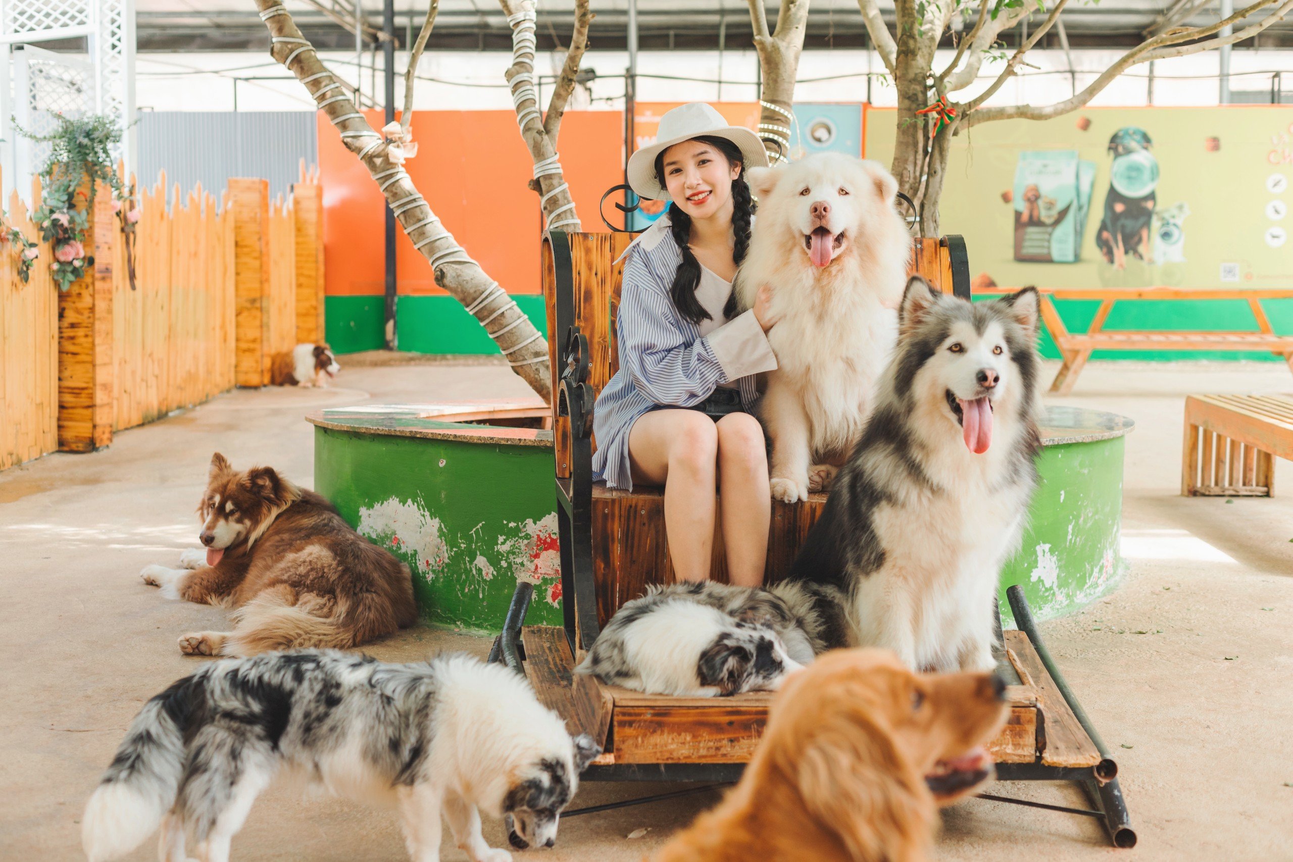 Hè 2024 Puppy Farm Đà Lạt có gì hấp dẫn?- Ảnh 5. Hè 2024 Puppy Farm Đà Lạt có gì hấp dẫn?- Ảnh 5.