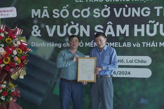 Đại diện lãnh đạo Sở Nông nghiệp và Phát triển nông thôn trao Chứng nhận mã số cơ sở vùng trồng cho Công ty cổ phần nông nghiệp công nghệ cao Thái Minh Đại diện lãnh đạo Sở Nông nghiệp và Phát triển nông thôn trao Chứng nhận mã số cơ sở vùng trồng cho Công ty cổ phần Nông nghiệp công nghệ cao Thái Minh