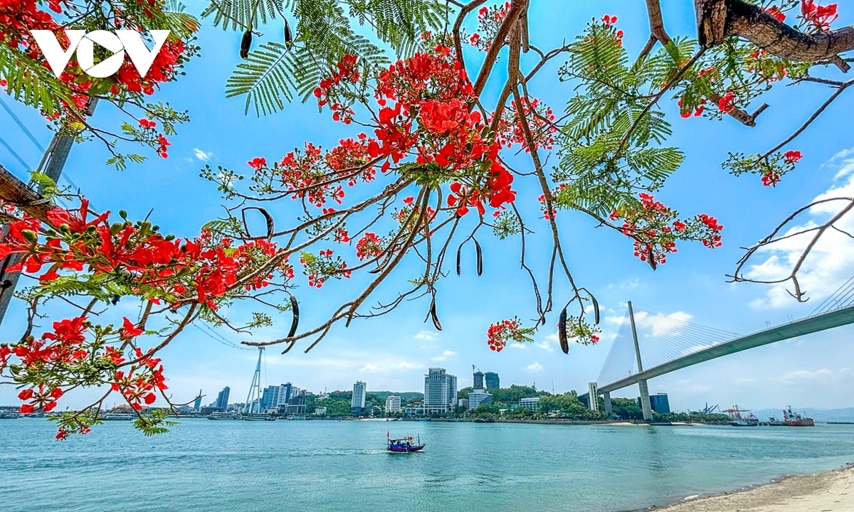 xây dựng thương hiệu thành phố hạ long gắn với lễ hội và mùa hoa hình ảnh 2 xay dung thuong hieu thanh pho ha long gan voi le hoi va mua hoa hinh anh 2