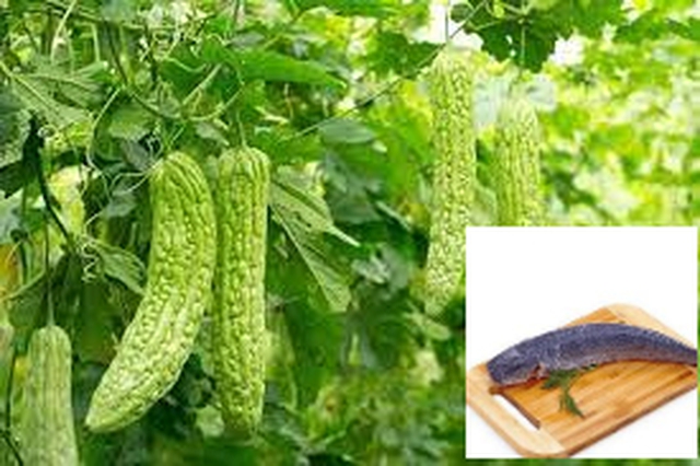 Tháng 5 âm có 9 ngày gọi là cửu độc nóng nhất năm, ai cũng nên ăn 'siêu thực phẩm' này để giải độc, giải nhiệt và các món ngon từ nó- Ảnh 4. Tháng 5 âm có 9 ngày gọi là cửu độc nóng nhất năm, ai cũng nên ăn 'siêu thực phẩm' này để giải độc, giải nhiệt và các món ngon từ nó- Ảnh 4.