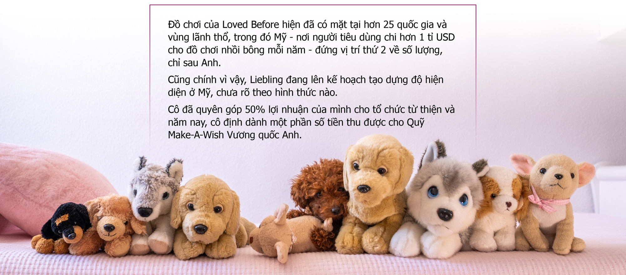 Thú nhồi bông - để Trái Đất cũng thấy yêu - Ảnh 7. Thú nhồi bông - để Trái Đất cũng thấy yêu - Ảnh 7.