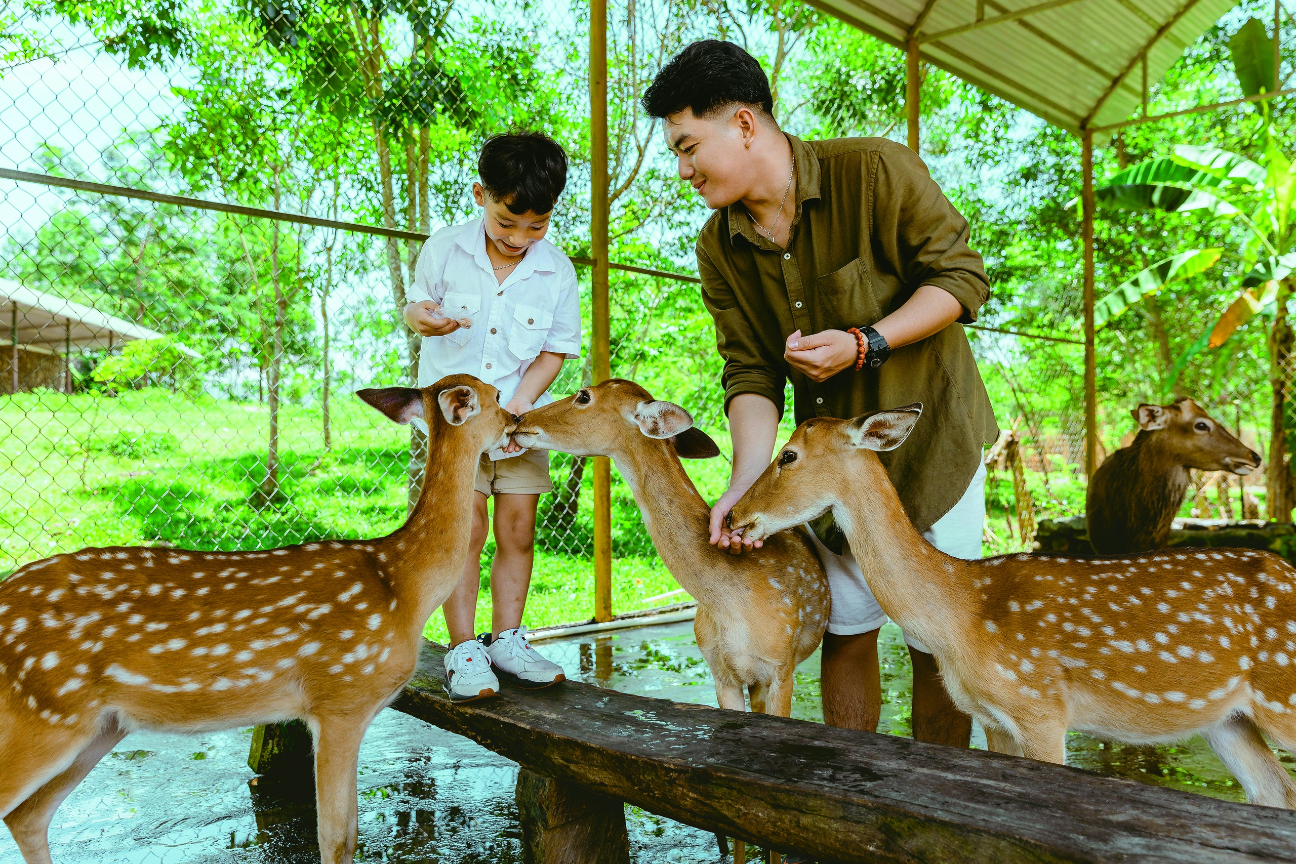 Yang Bay - Vẻ đẹp bình yên chốn đại ngàn- Ảnh 3. Yang Bay - Vẻ đẹp bình yên chốn đại ngàn- Ảnh 3.