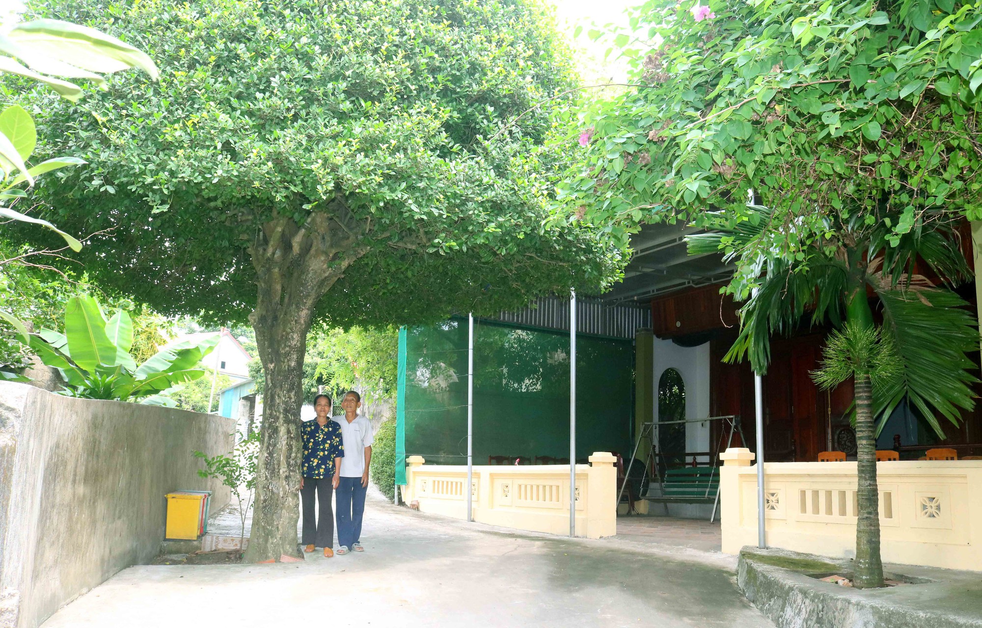 Cận cảnh nhà cổ ở làng quê xã Kim Liên của Nghệ An, có một nhà gỗ từ thời nhà Lê, đã gần 300 tuổi- Ảnh 11. Cận cảnh nhà cổ ở làng quê xã Kim Liên của Nghệ An, có một nhà gỗ từ thời nhà Lê, đã gần 300 tuổi- Ảnh 11.