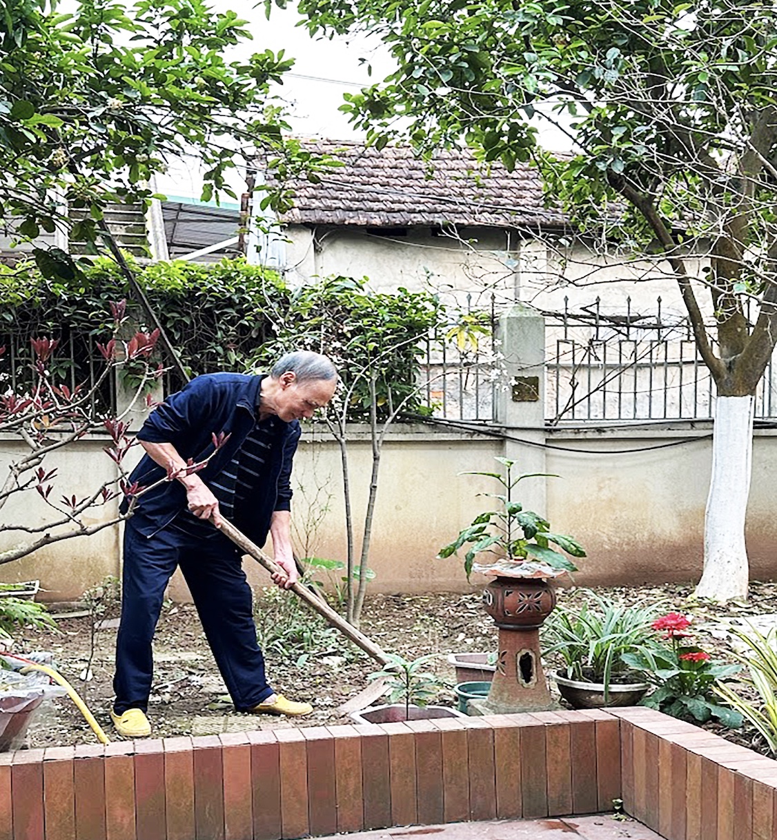 Nhạc sĩ Nhạc sĩ