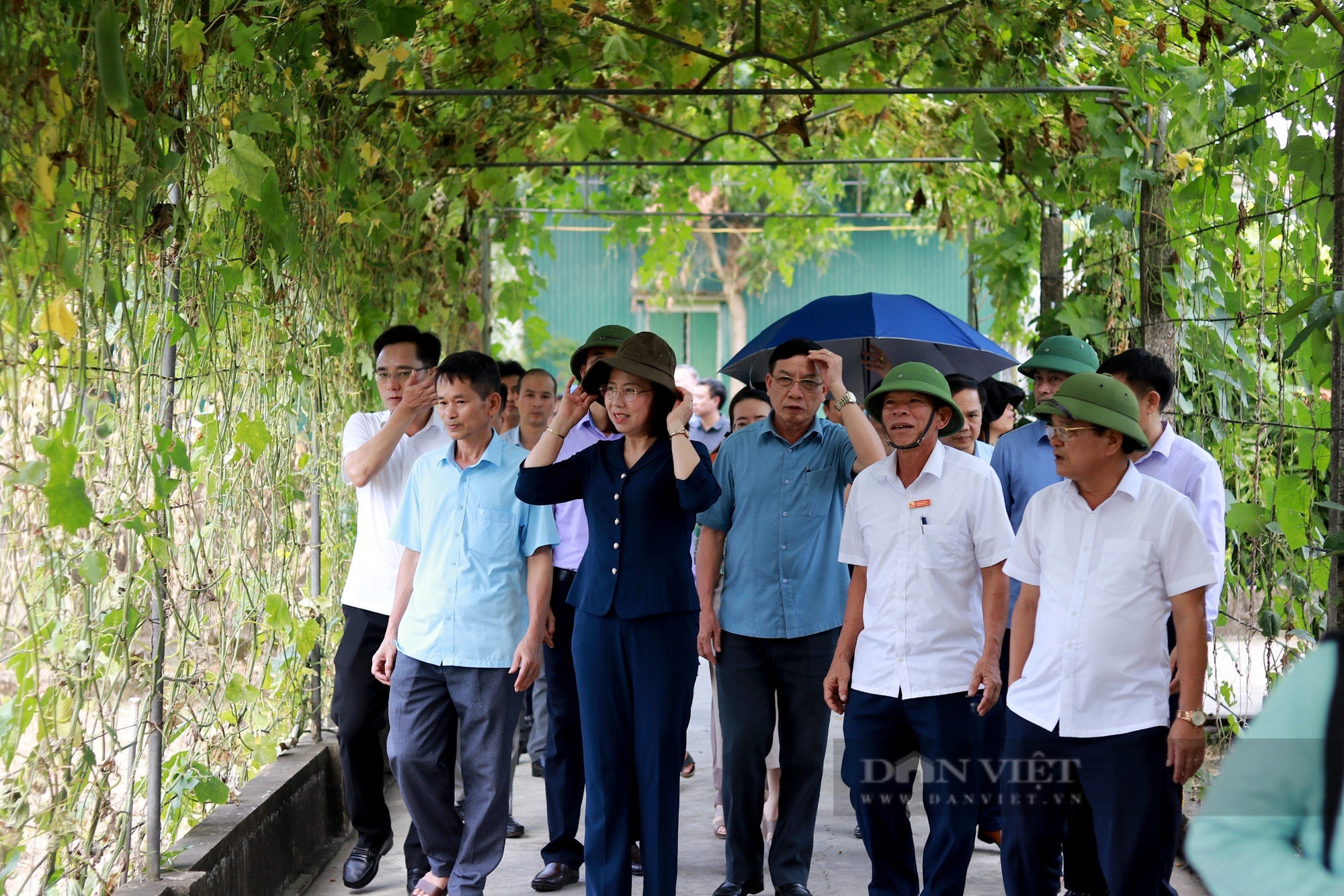 Phó Chủ tịch TƯ Hội NDVN Bùi Thị Thơm đánh giá cao mô hình tích tụ ruộng đất, NTM kiểu mẫu ở Hà Tĩnh- Ảnh 3. Phó Chủ tịch TƯ Hội NDVN Bùi Thị Thơm đánh giá cao mô hình tích tụ ruộng đất, NTM kiểu mẫu ở Hà Tĩnh- Ảnh 3.
