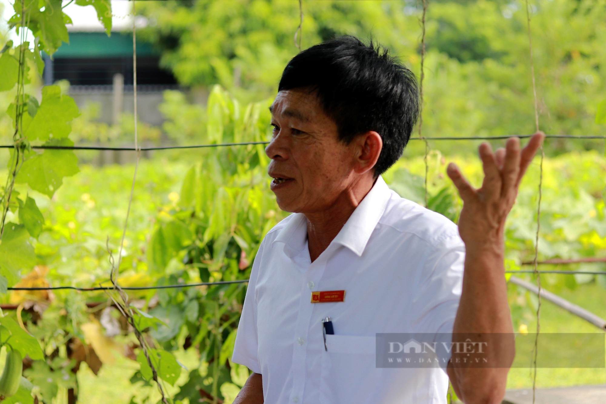 Phó Chủ tịch TƯ Hội NDVN Bùi Thị Thơm đánh giá cao mô hình tích tụ ruộng đất, NTM kiểu mẫu ở Hà Tĩnh- Ảnh 4. Phó Chủ tịch TƯ Hội NDVN Bùi Thị Thơm đánh giá cao mô hình tích tụ ruộng đất, NTM kiểu mẫu ở Hà Tĩnh- Ảnh 4.