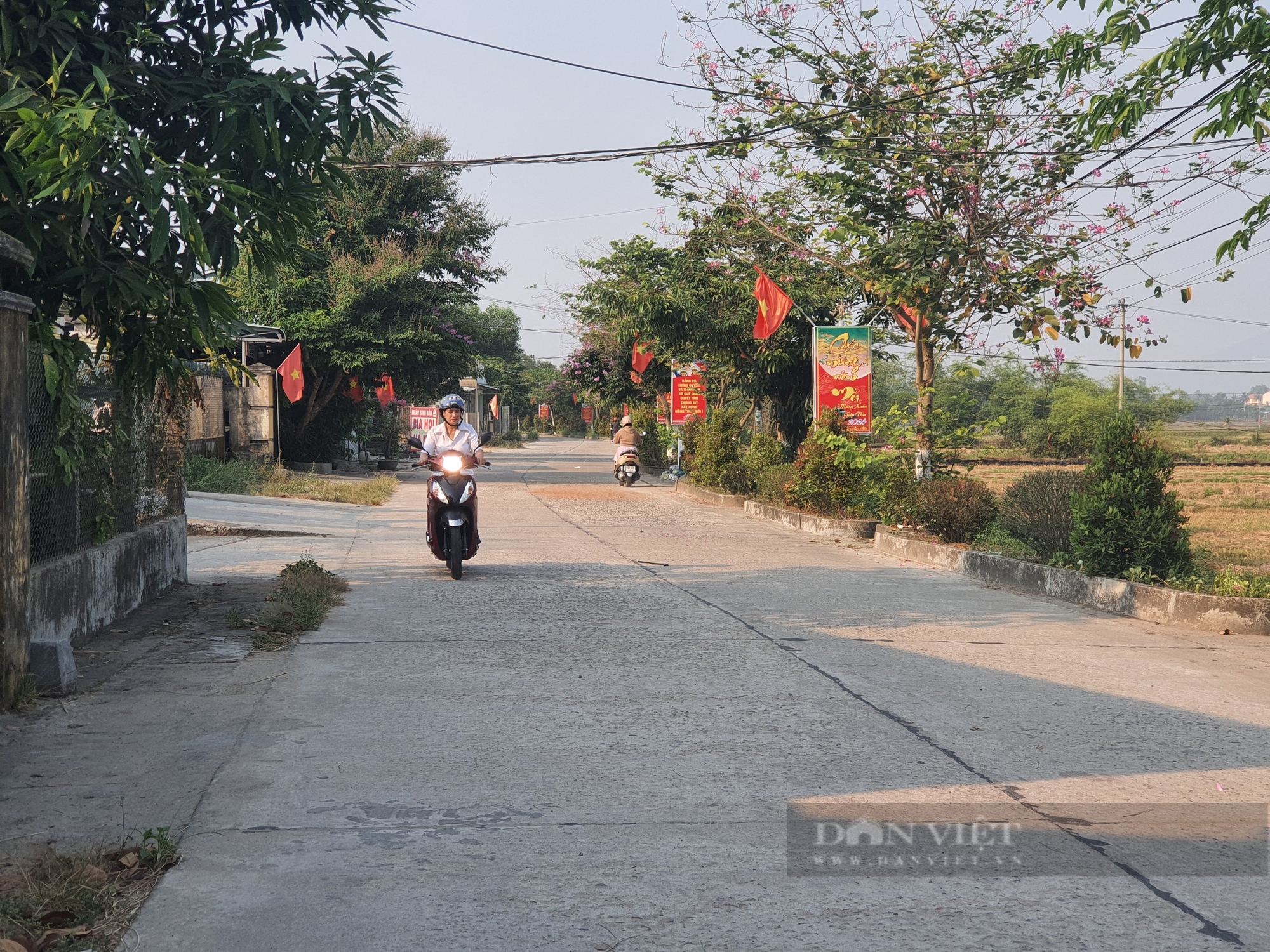 Một xã của tỉnh Quảng Nam, dân đồng lòng làm nông thôn mới kiểu mẫu, thu nhập đạt tới 56 triệu đồng/người- Ảnh 3. Một xã của tỉnh Quảng Nam, dân đồng lòng làm nông thôn mới kiểu mẫu, thu nhập đạt tới 56 triệu đồng/người- Ảnh 3.