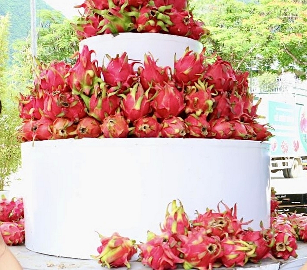 Trưng bày thanh long ruột đỏ của huyện Thuận Châu tại lễ xuất hành. Trưng bày thanh long ruột đỏ của huyện Thuận Châu tại lễ xuất hành.