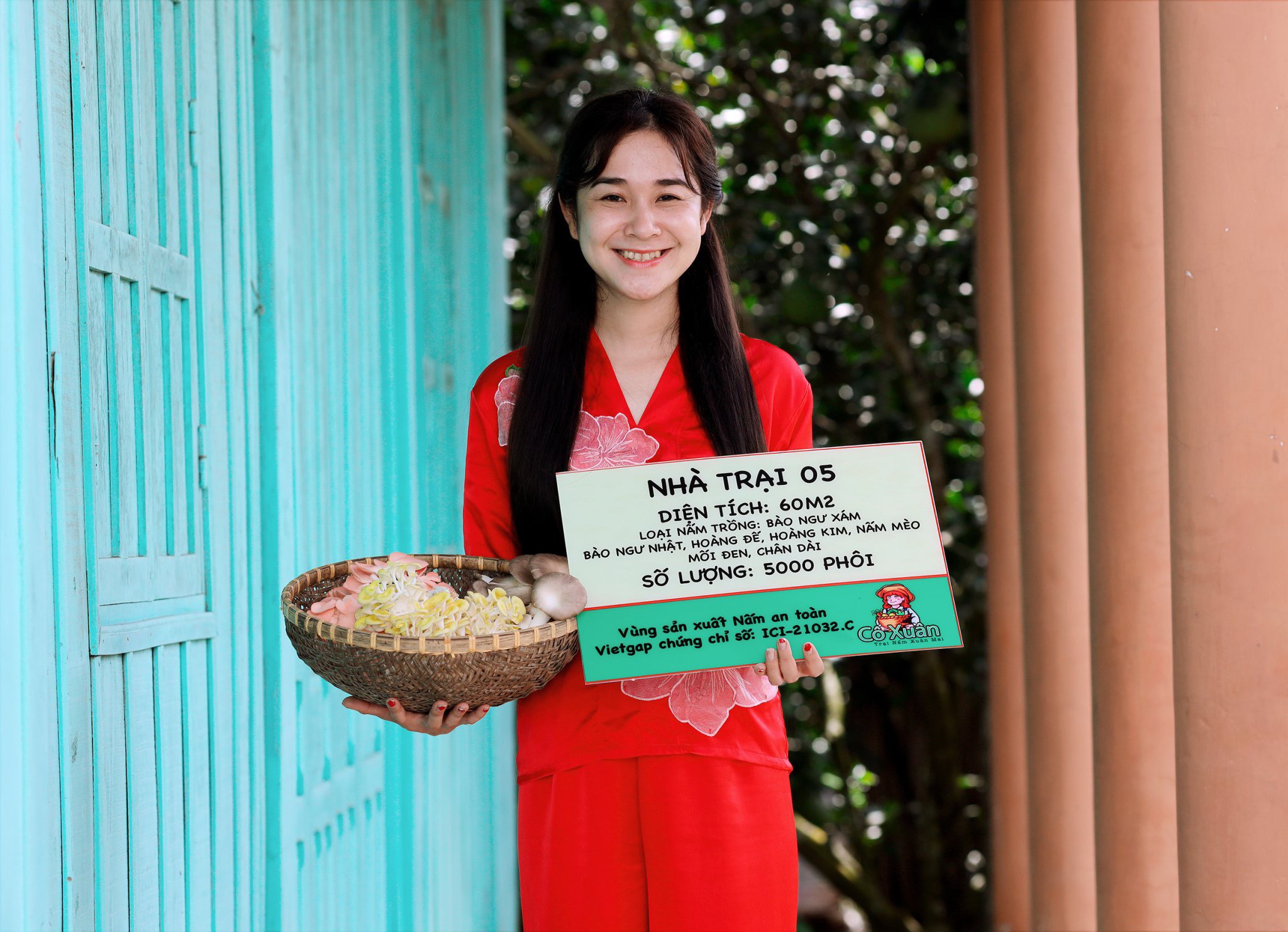 Mê ăn nấm, cô gái Bến Tre làm luôn nhà trồng nấm để khởi nghiệp- Ảnh 3. Mê ăn nấm, cô gái Bến Tre làm luôn nhà trồng nấm để khởi nghiệp- Ảnh 3.
