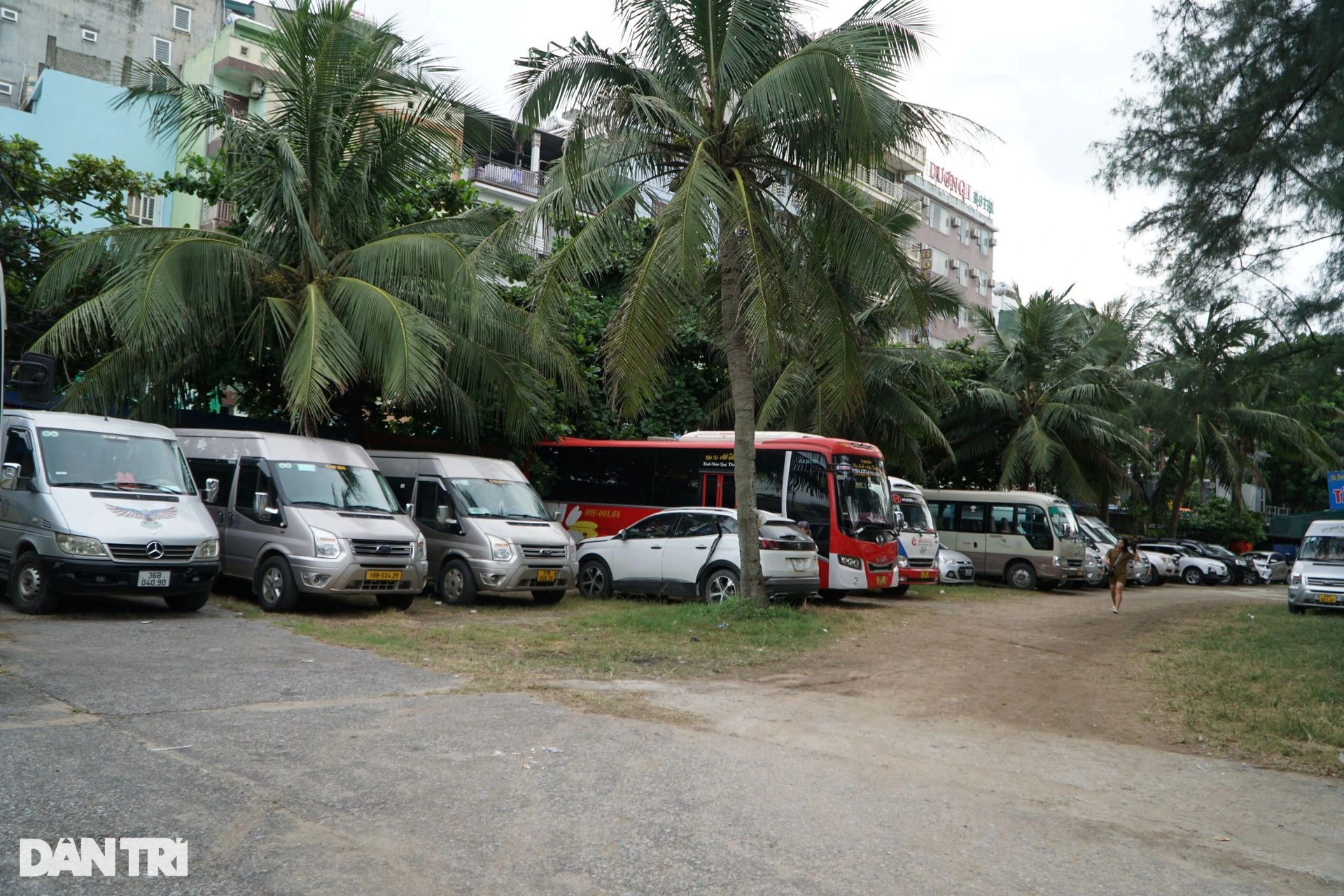 Biển Sầm Sơn ken đặc du khách dịp cuối tuần - 12 Biển Sầm Sơn ken đặc du khách dịp cuối tuần - 12