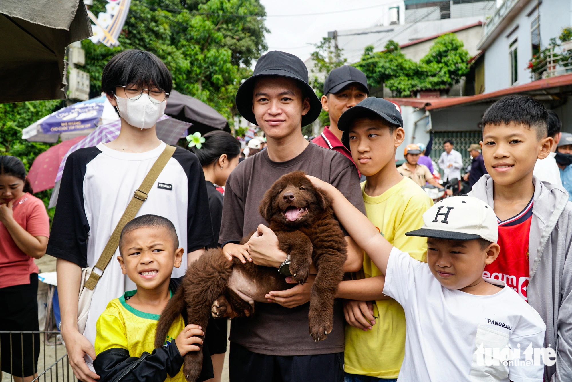 Khu bán chó con được các bạn nhỏ yêu thích nhất Khu bán chó con được các bạn nhỏ yêu thích nhất