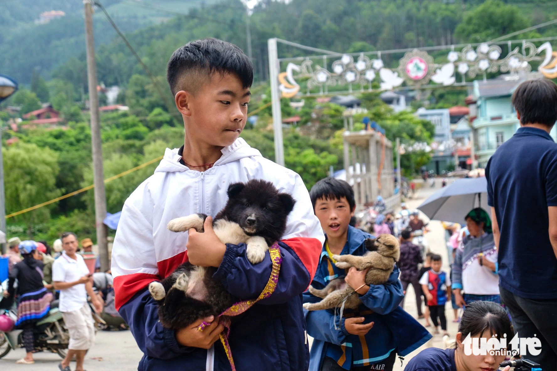 Livestream bán chó ở chợ phiên Bắc Hà, thu nhập bạc triệu mỗi buổi- Ảnh 6. Hàng trăm chú chó lớn nhỏ được bà con địa phương dắt xuống chợ phiên