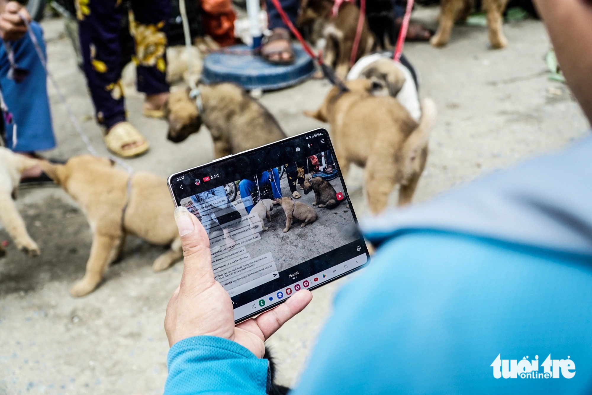 Livestream bán chó ở chợ phiên Bắc Hà, thu nhập bạc triệu mỗi buổi- Ảnh 8. Livestream bán chó ở chợ phiên Bắc Hà, thu nhập bạc triệu mỗi buổi- Ảnh 8.