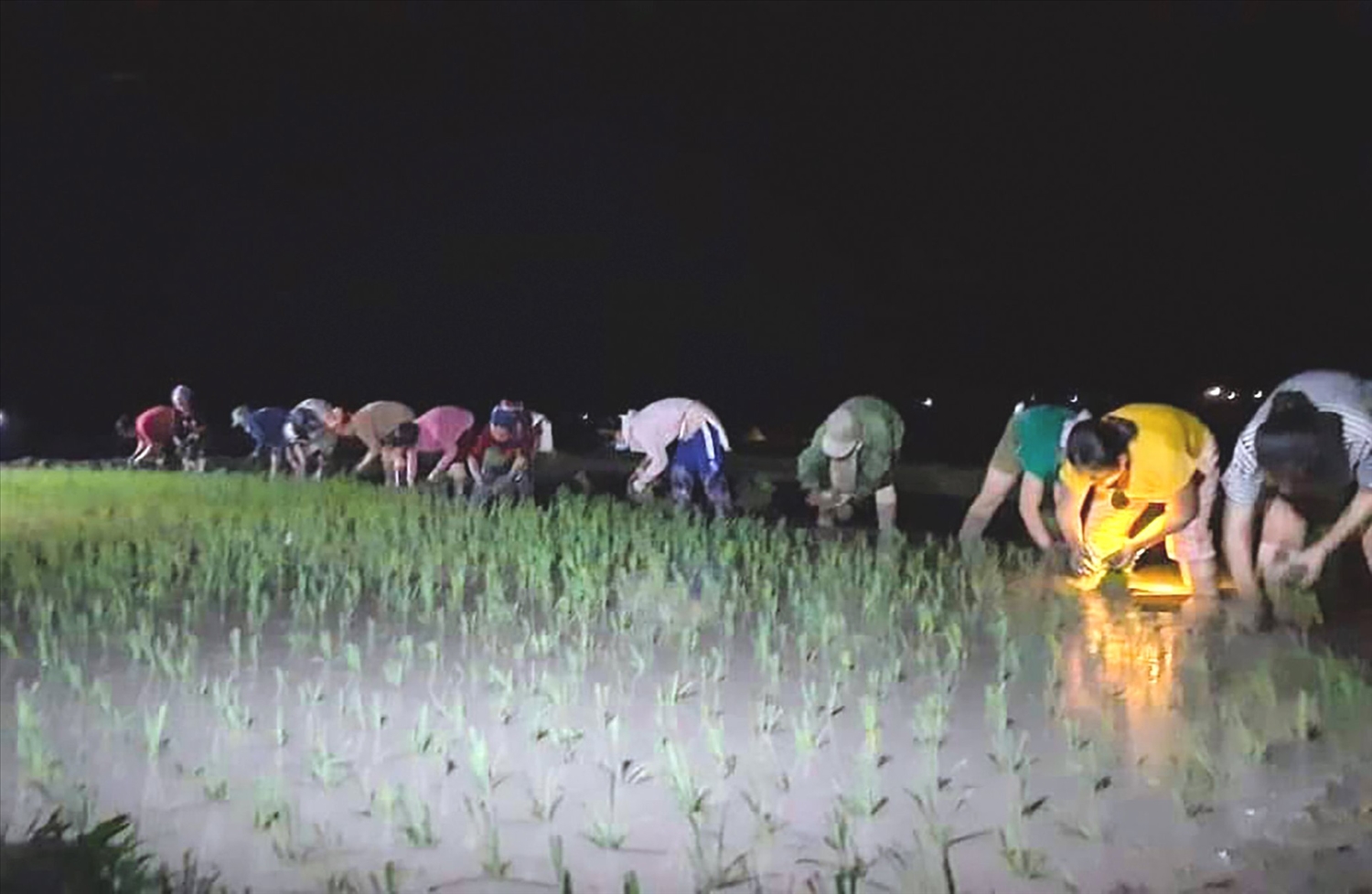 Khung cảnh ban đêm trên cánh đồng của người nông dân vùng cao Nghệ An. Khung cảnh ban đêm trên cánh đồng của người nông dân vùng cao Nghệ An.