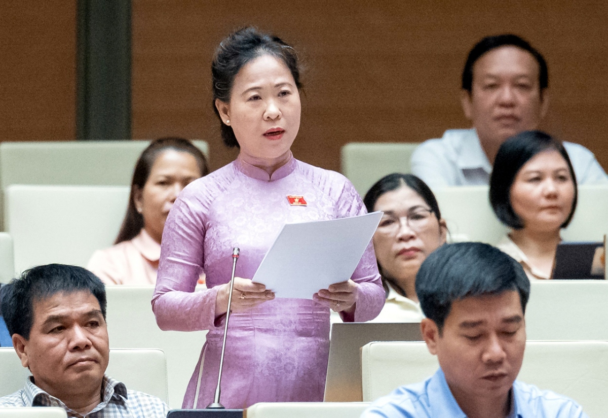 Đại biểu quốc hội đề nghị cân nhắc vat 0 hay 5 với mặt hàng phân bón hình ảnh 4 Dai bieu quoc hoi de nghi can nhac vat 0 hay 5 voi mat hang phan bon hinh anh 4